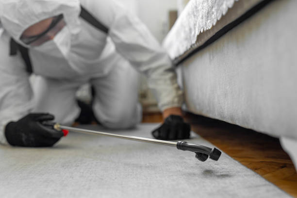 Professional Cockroach Control technician working in Hillsboro, ND