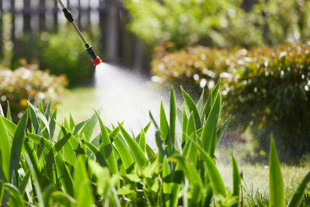 24/7 Emergency Cockroach Control experts in Hillsboro, ND