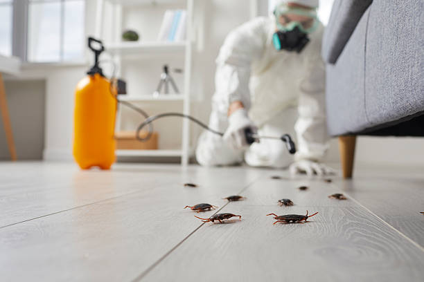 Trusted Cockroach Control service in Hillsboro, ND - Nex Pest Control