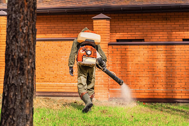 Trusted Ant Control service in Hillsboro, ND - Nex Pest Control